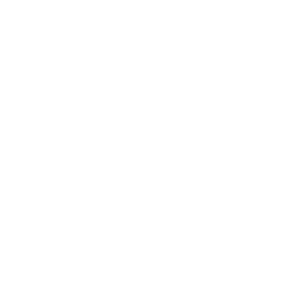 5 5